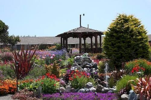 Surf Motel And Gardens Fort Bragg Ngoại thất bức ảnh