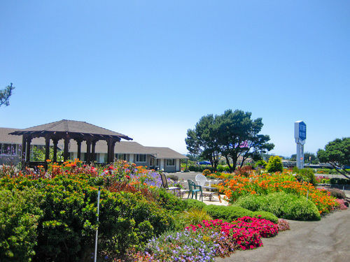 Surf Motel And Gardens Fort Bragg Ngoại thất bức ảnh